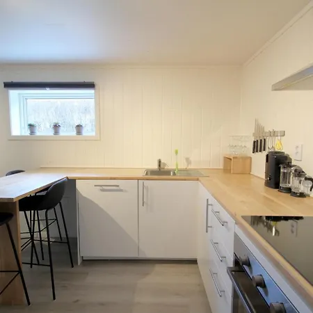 Spacious Two Bedroom Basement * Flåm